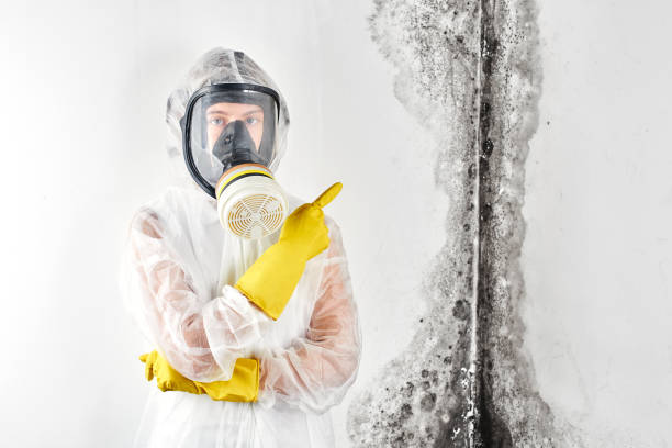 Best Emergency Mold Remediation  in Flomaton, AL