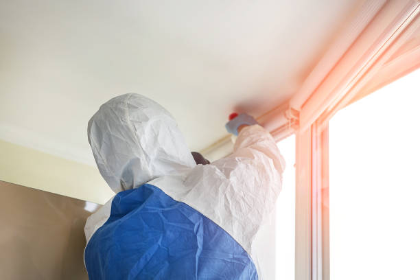 Best Commercial Mold Inspection  in Flomaton, AL