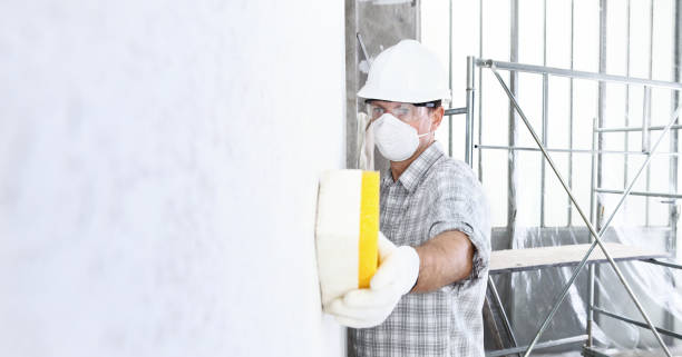 Trusted Flomaton, AL Mold Inspection Experts