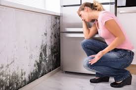 Why You Should Choose Our Mold Remediation Services in Flomaton, AL